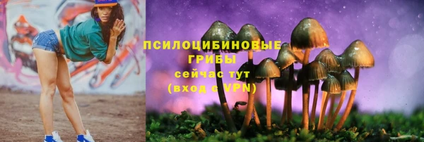 спайс Баксан