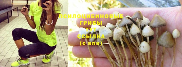 СК Богданович