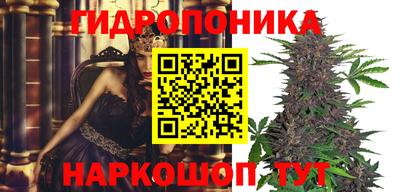 хмурый Абинск