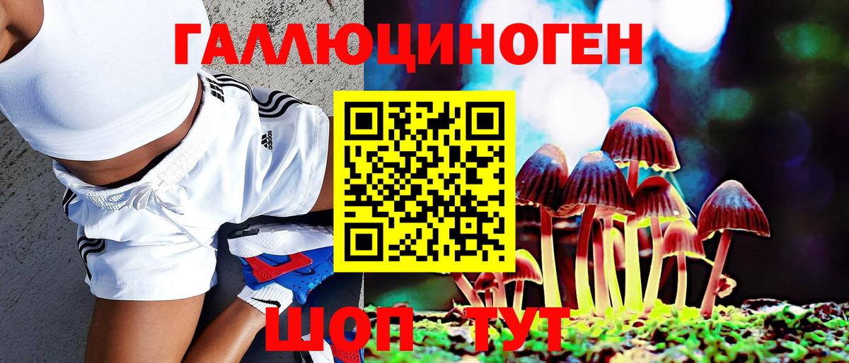 Псилоцибиновые грибы мухоморы  цены   Гудермес 
