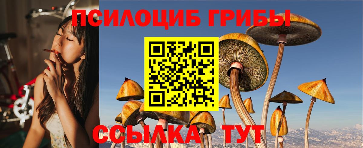 Гудермес  Ляпка  MDMA  Вход с VPN  МАРИХУАНА  25-NBOMe  Каннабис  Масло ТГК  Мефедрон  ЛЁД  Cocaine 