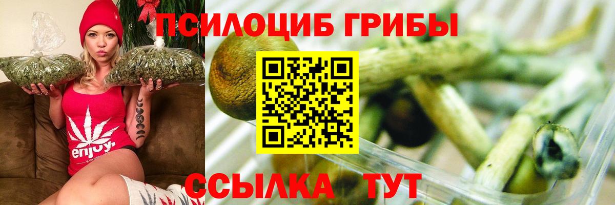 Галлюциногенные грибы прущие грибы Гудермес