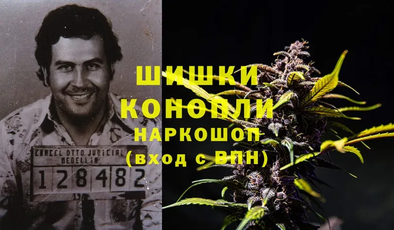 как найти наркотики  Гудермес  сайты даркнета какой сайт  Шишки марихуана LSD WEED 